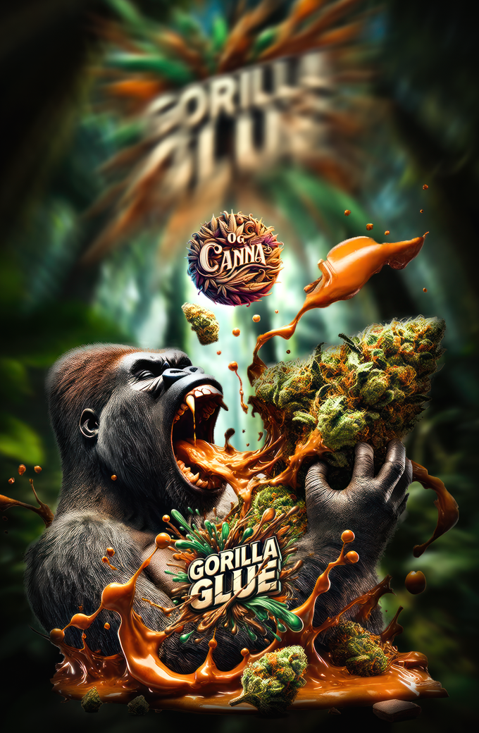 Gorilla Glue